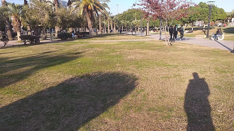 منتزه