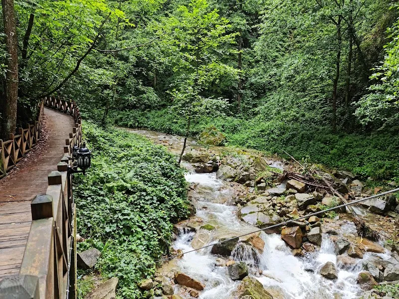 Akyamaç Şelalesi Tabiat Parkı
