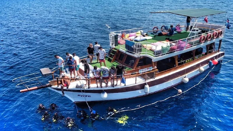 Ayvalık 3 sea dalış merkezi