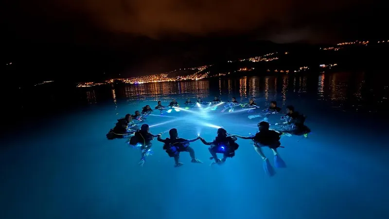 GURU DIVE EĞİTİM ARAŞTIRMA DALIŞ MERKEZİ