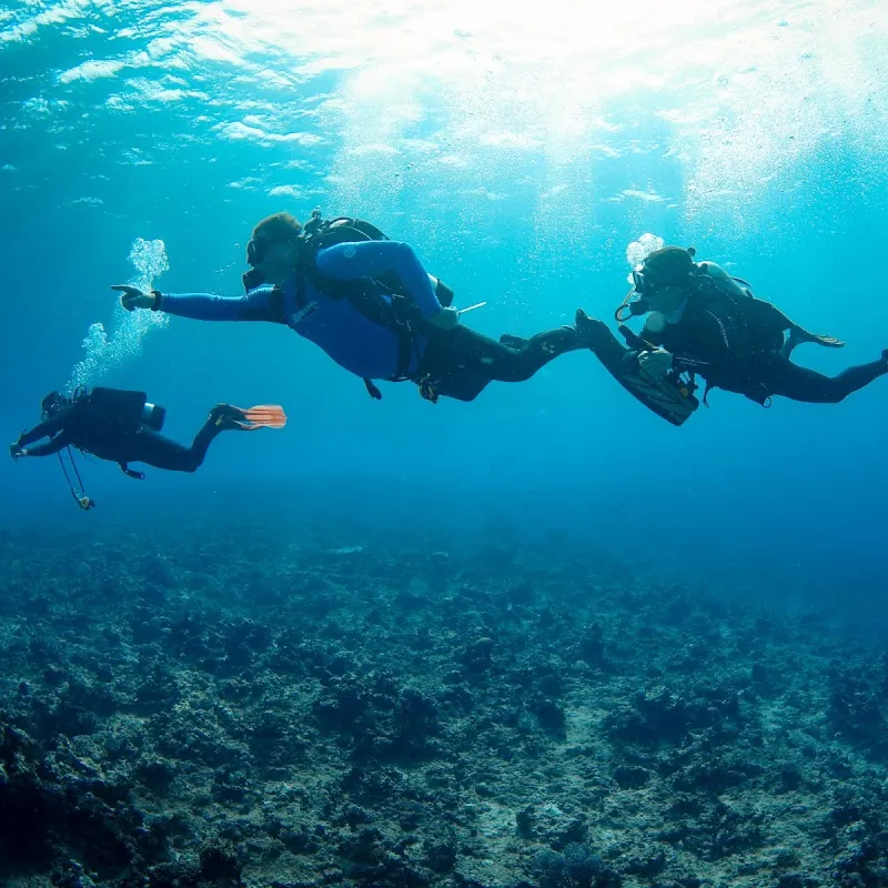 Meridian Adventure Dive and Watersports Club