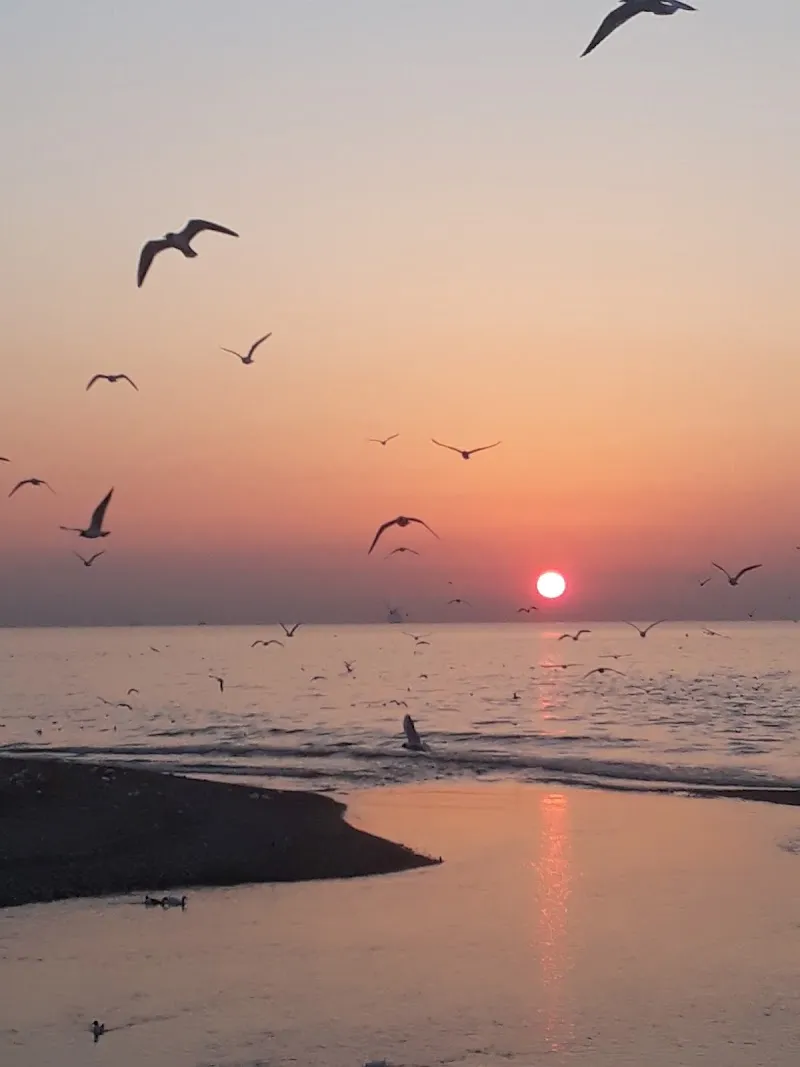 Plaj - Beach - Strand Deniz Suyu Sıcaklığı