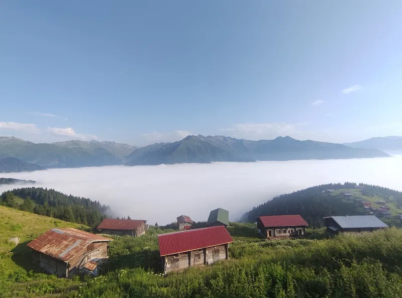 POKUT